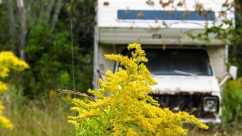 Tick Season Over - Corroded-Catfish-Creek-Camp2.jpg