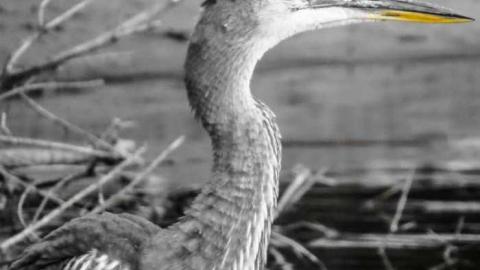 Tick Season Over - Corroded-Catfish-Creek-Camp6.jpg