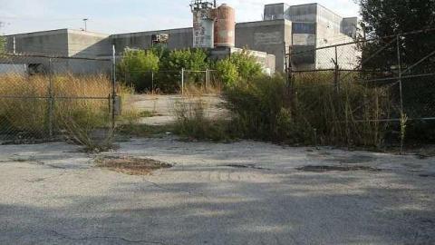 Robson-Lang Leathers - 4gate was open - Copy.jpg