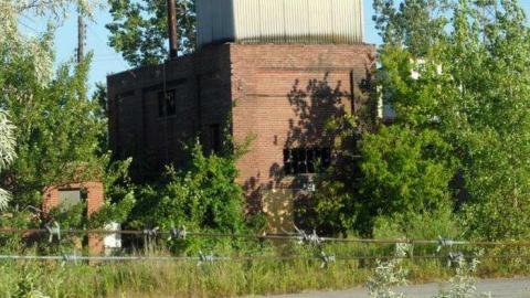 Brant 2011 - 944-Brant7.jpg