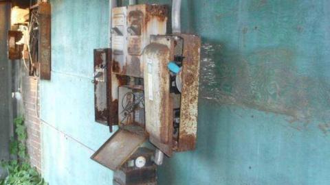 Brant 2011 - 944-Brant8.jpg