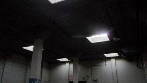 Brant 2011 - 944-Brant10.jpg