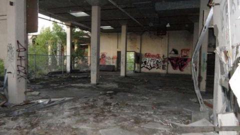 Brant 2011 - 944-Brant20.jpg