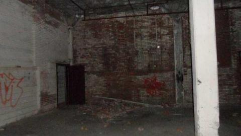 Brant 2011 - 944-Brant21.jpg