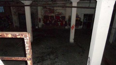 Brant 2011 - 944-Brant15.jpg