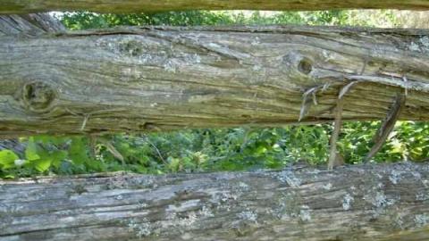 FoundOutNew - Newfoundout-(ghost-town)11.jpg