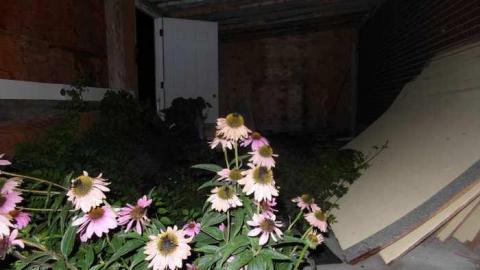 9/7/2013 - SAM_0741.jpg