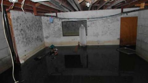 9/7/2013 - SAM_0761.jpg