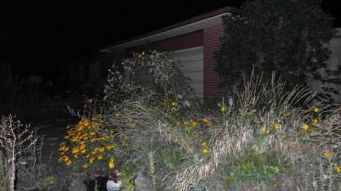 9/7/2013 - SAM_0775.jpg