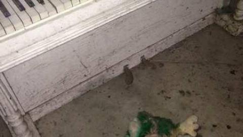 Colorful - IMG_9050.jpg