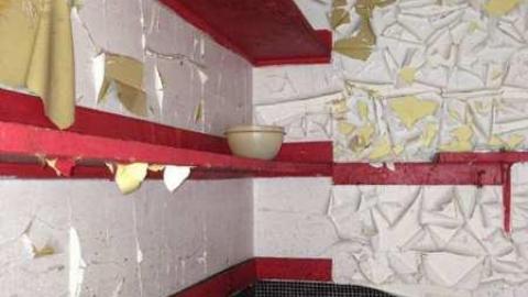 Colorful - IMG_9065.jpg