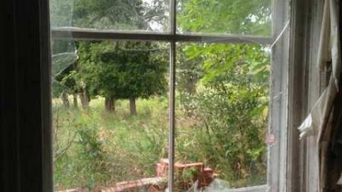 Colorful - IMG_9075.jpg