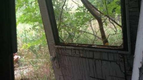 Colorful - IMG_9081.jpg