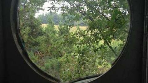 Colorful - IMG_9096.jpg