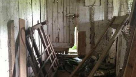 Colorful - IMG_9110.jpg