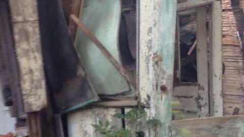 August 2013 - IMG_8766.jpg