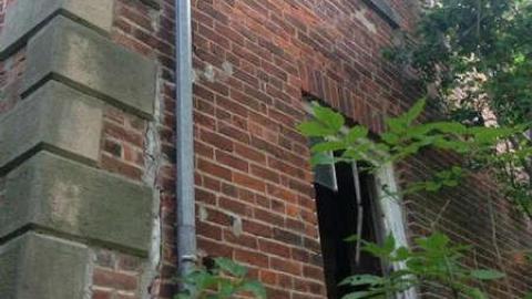 August 2013 - IMG_8773.jpg