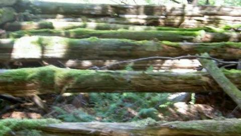 FoundOutNew - Newfoundout-(ghost-town)28.jpg