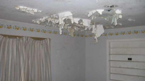 Developer vs Boy Scouts - Developer-vs-Boy-Scouts2.jpg