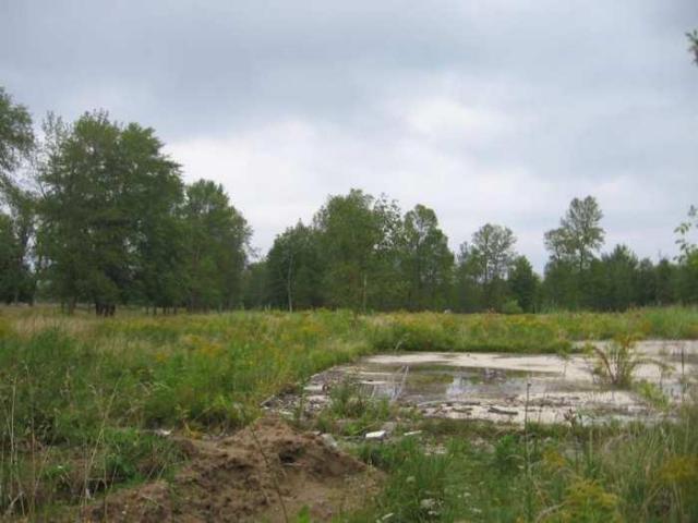 Developer vs Boy Scouts photo 4