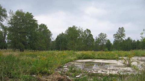 Developer vs Boy Scouts photo 4