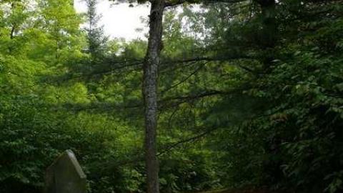 Mizpah - Mizpah-(ghost-town)1.jpg