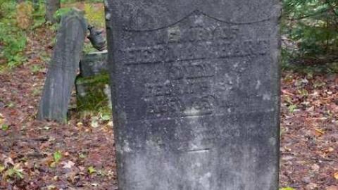 Mizpah - Mizpah-(ghost-town)6.jpg