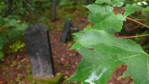 Mizpah - Mizpah-(ghost-town)9.jpg