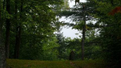 Mizpah - Mizpah-(ghost-town)16.jpg