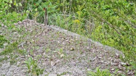 Bobby Hull's Rink - Point-Anne-Ghost-Town31.jpg