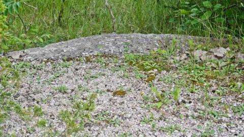 Photo from Bobby Hull's Rink