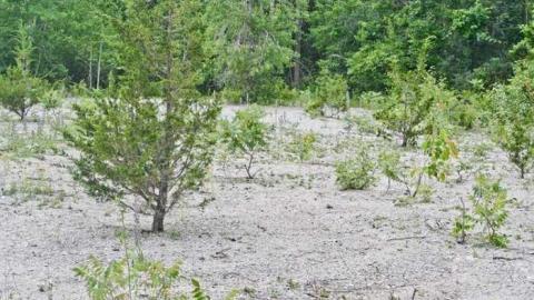 Photo from Bobby Hull's Rink