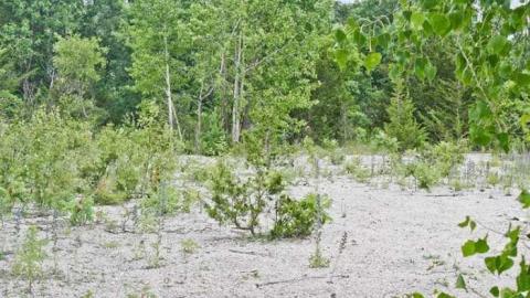 Bobby Hull's Rink - Point-Anne-Ghost-Town33.jpg