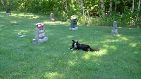Opeongo Ghost Towns - Opeongo-Road-Ghost-Towns24.jpg