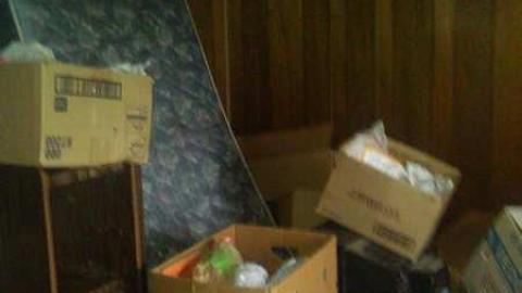 Garden spiders galore - WP_000708.jpg