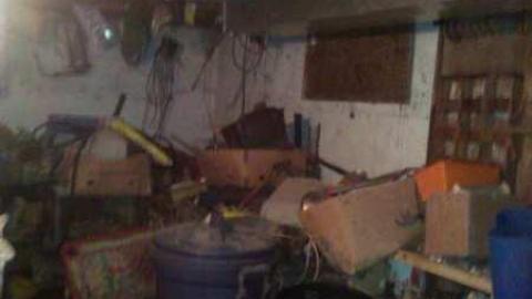 Garden spiders galore - WP_000710.jpg