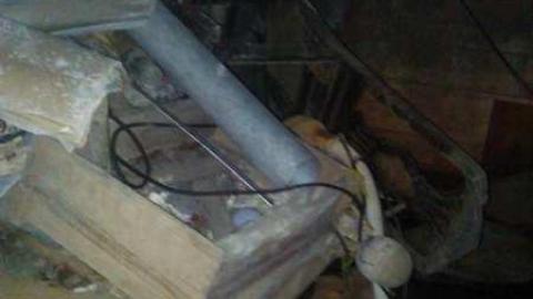 Garden spiders galore - WP_000714.jpg