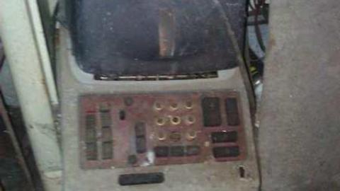 Garden spiders galore - WP_000715.jpg