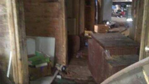 Garden spiders galore - WP_000718.jpg