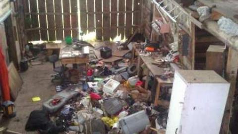 Garden spiders galore - WP_000724.jpg