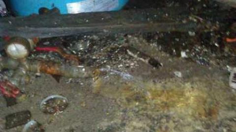 OAP meet - Scenic-Farm-on-Township-Rd.-3261.jpg