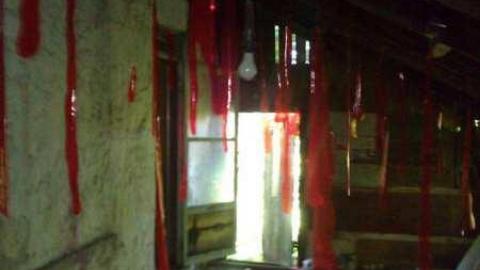 OAP meet - Scenic-Farm-on-Township-Rd.-3262.jpg