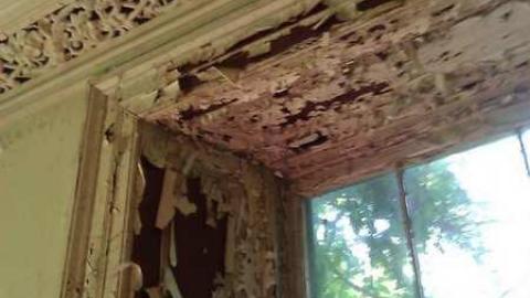 OAP meet - Scenic-Farm-on-Township-Rd.-3263.jpg