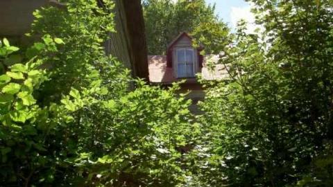 Opeongo Ghost Towns - Opeongo-Road-Ghost-Towns8.jpg