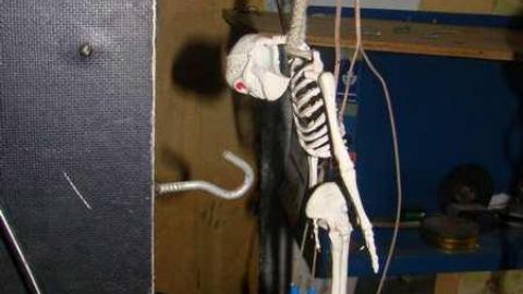 Photo from Filthy Sqattters...Likely