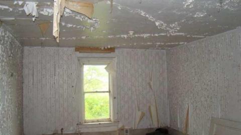 Filthy Sqattters...Likely - DSC09163.jpg