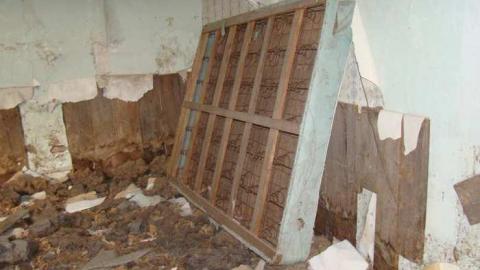 Hidden in the Bush - Cold-Rain31.jpg