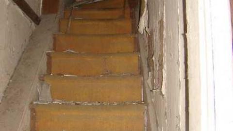 Hidden in the Bush - Cold-Rain32.jpg