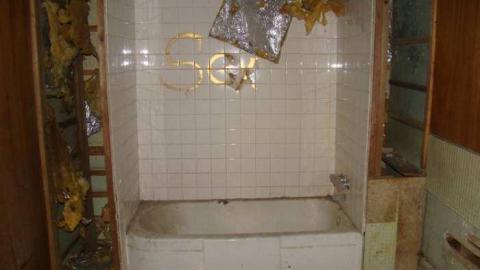 Hidden in the Bush - Cold-Rain23.jpg