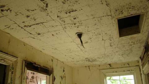 Hidden in the Bush - Cold-Rain24.jpg